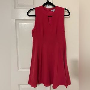 She + Sky hot pink swing dress
